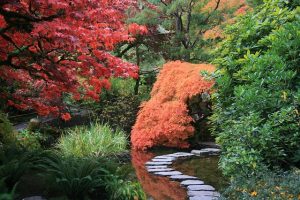 paysagiste jardin japonais