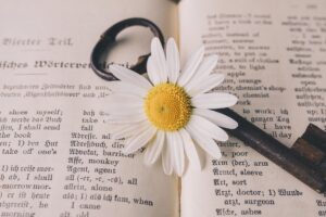 Apprendre l'anglais intensément en Suisse : un voyage enrichissant